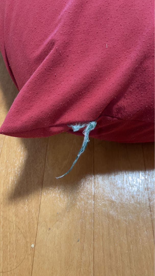 ‼️本日限定価格‼️
