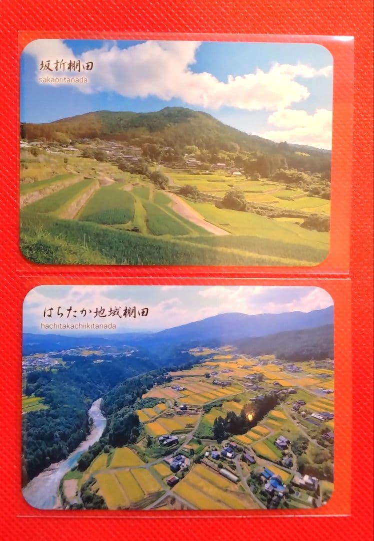 各種カード　★　専用品