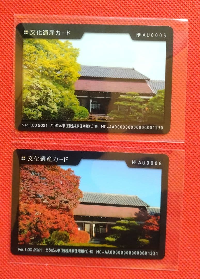 各種カード　★　専用品