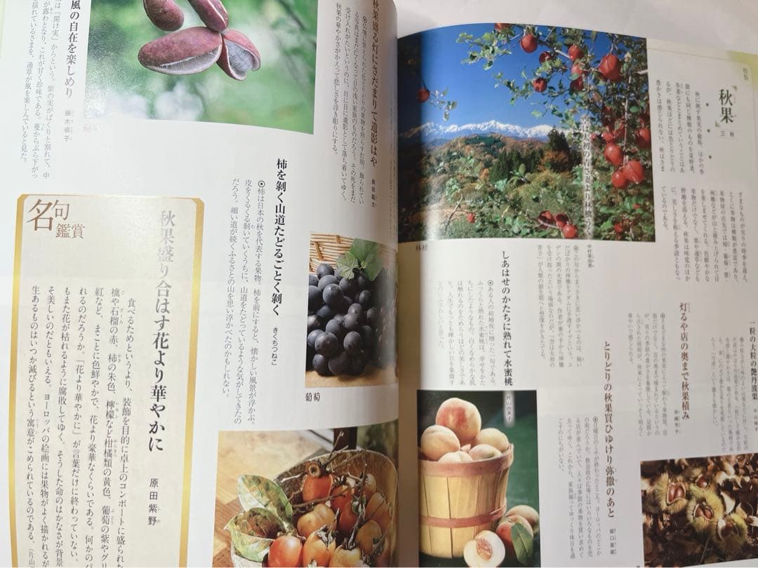 週刊　日本の歳時記　全50冊コンプリート　小学館