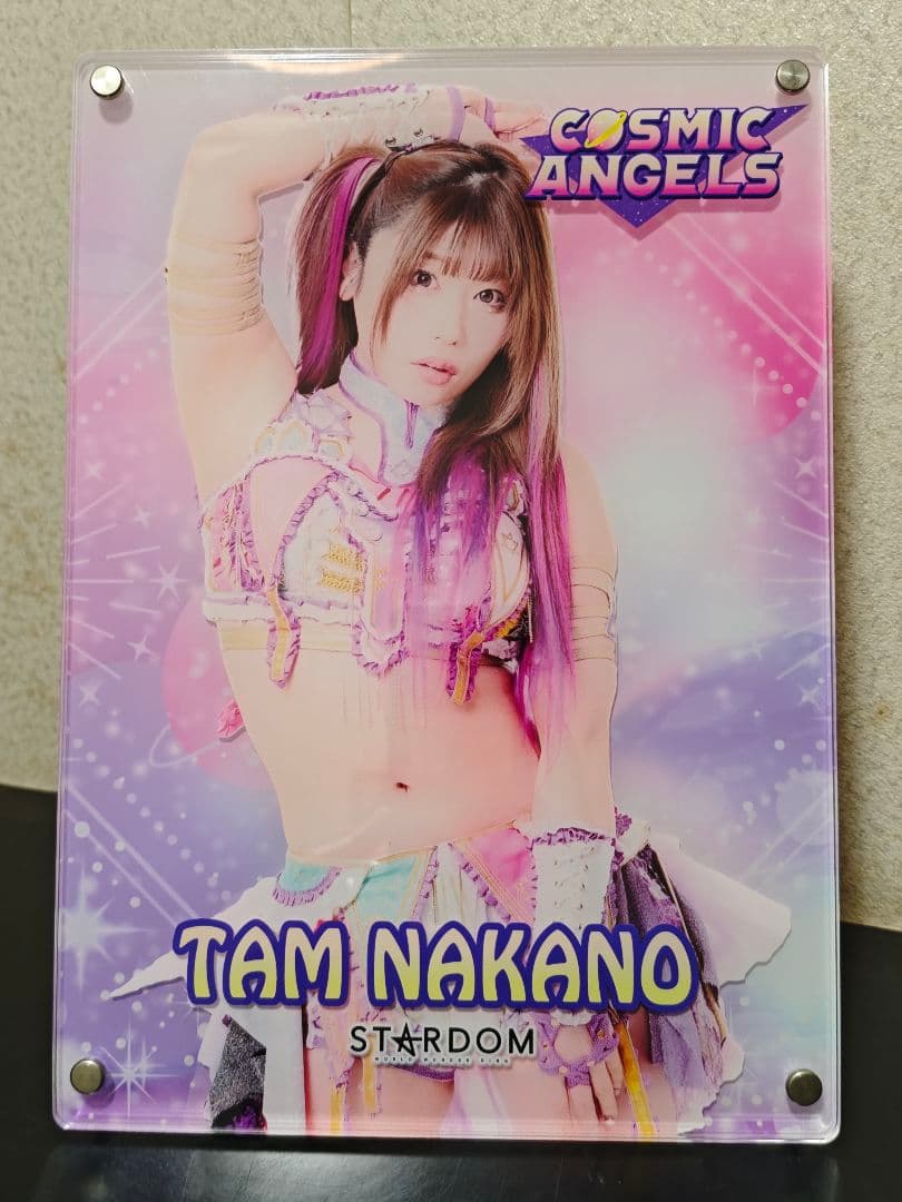 スターダム　中野たむ関連セット