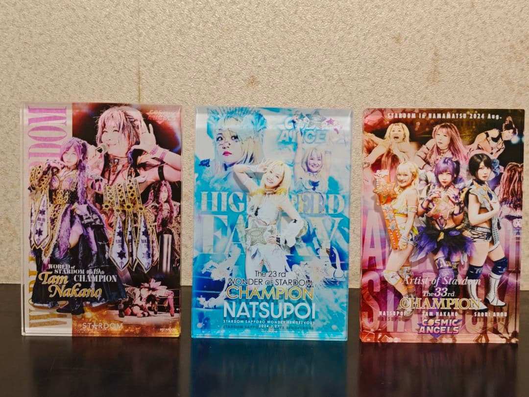 スターダム　中野たむ関連セット
