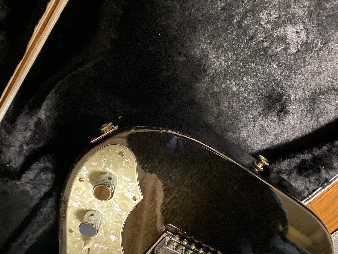 FREEDOM CUSTOM GUITAR BLACK PEPPER ケース付