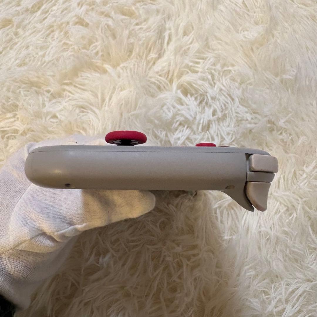 Nintendo Switch Liteザシアン・ザマゼンタ 動作確認済み