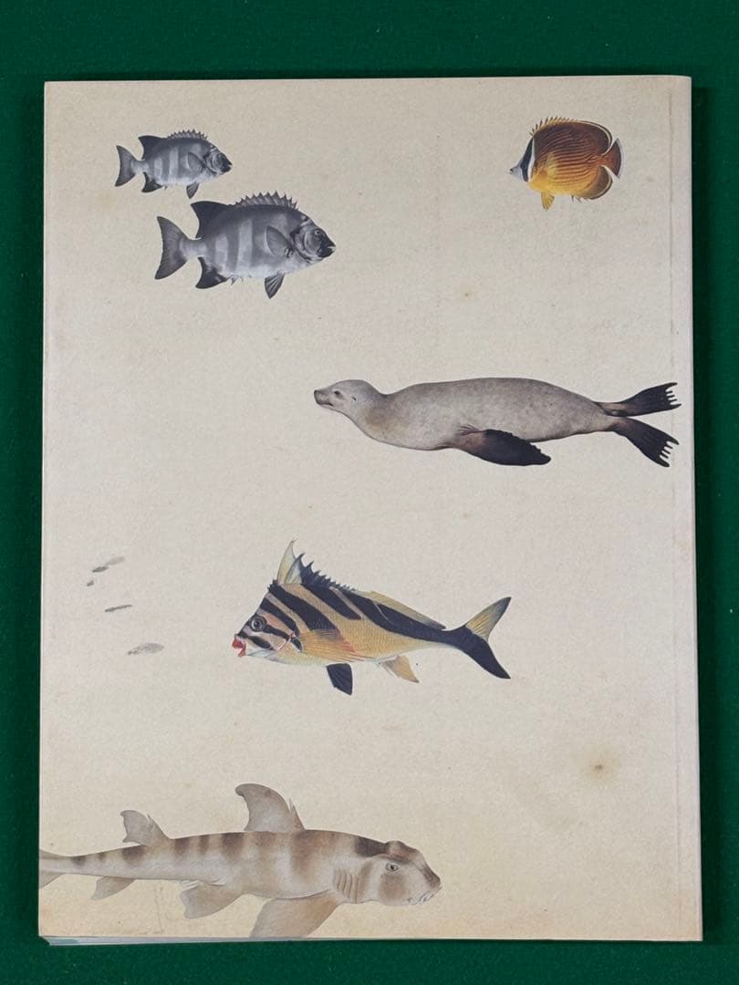 図録【シーボルトの水族館】正誤表、チケット半券、フライヤー付　川原慶賀 長崎