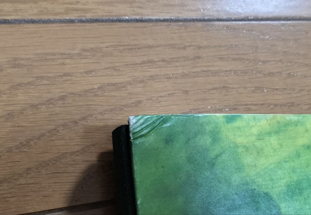 世界一大きな絵本 2冊セット