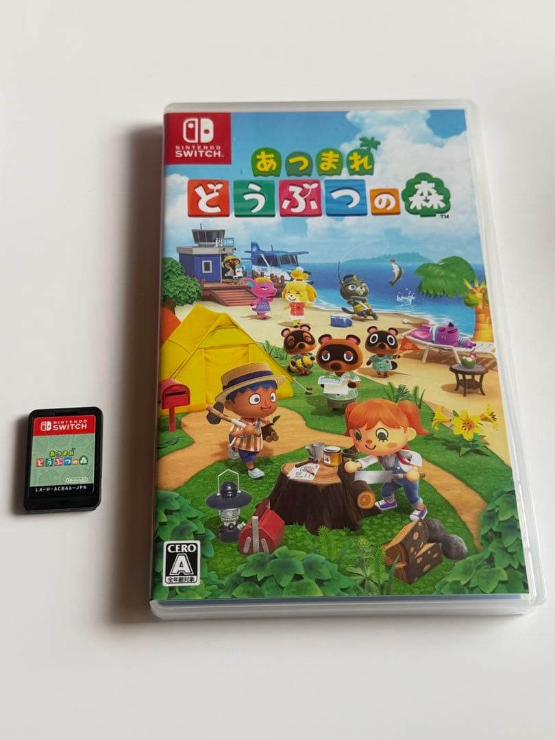 Nintendo Switch Lite グレー　外箱あり 充電器無し あつ森付