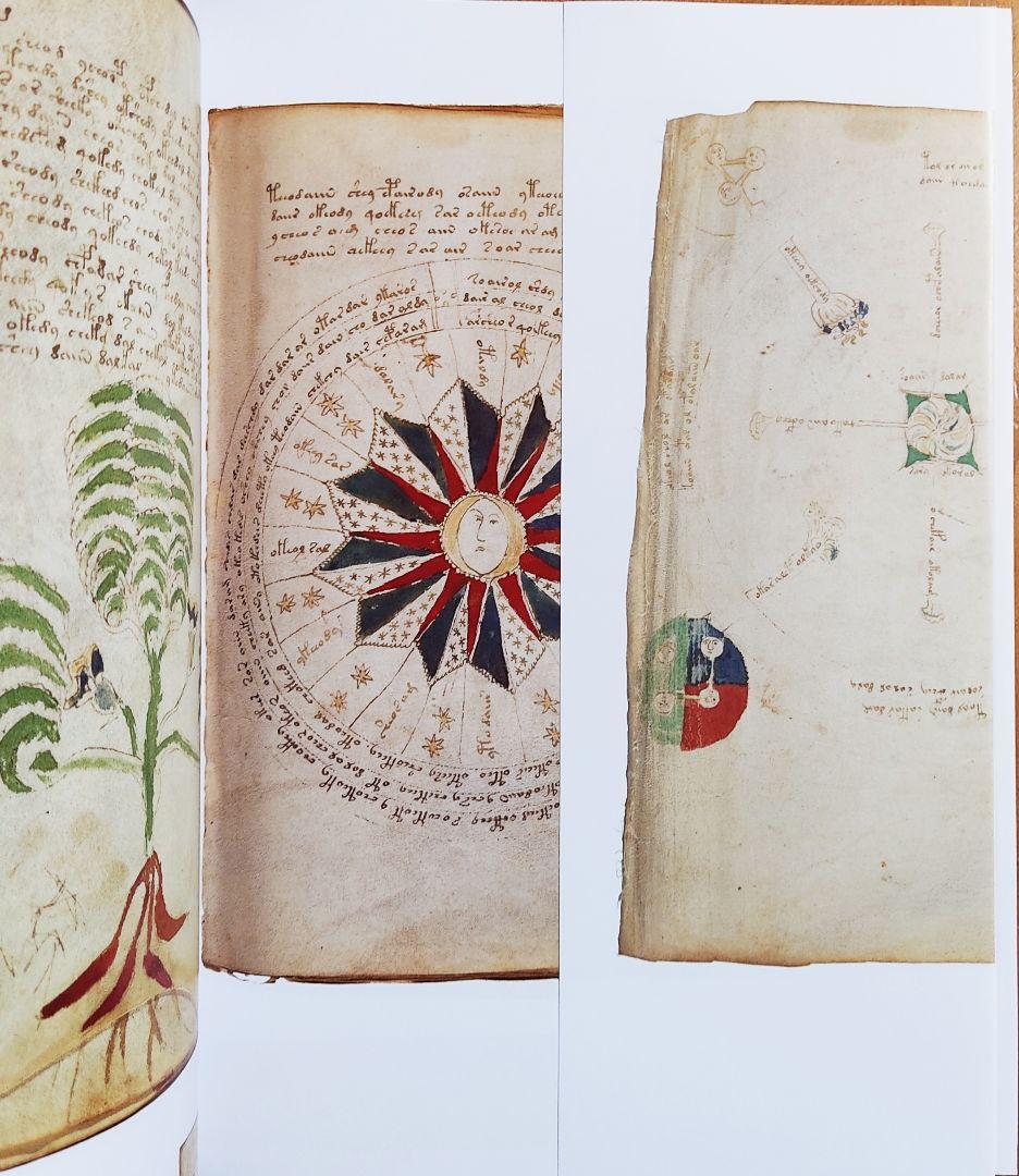 ヴォイニッチ手稿　the Voynich Manuscript