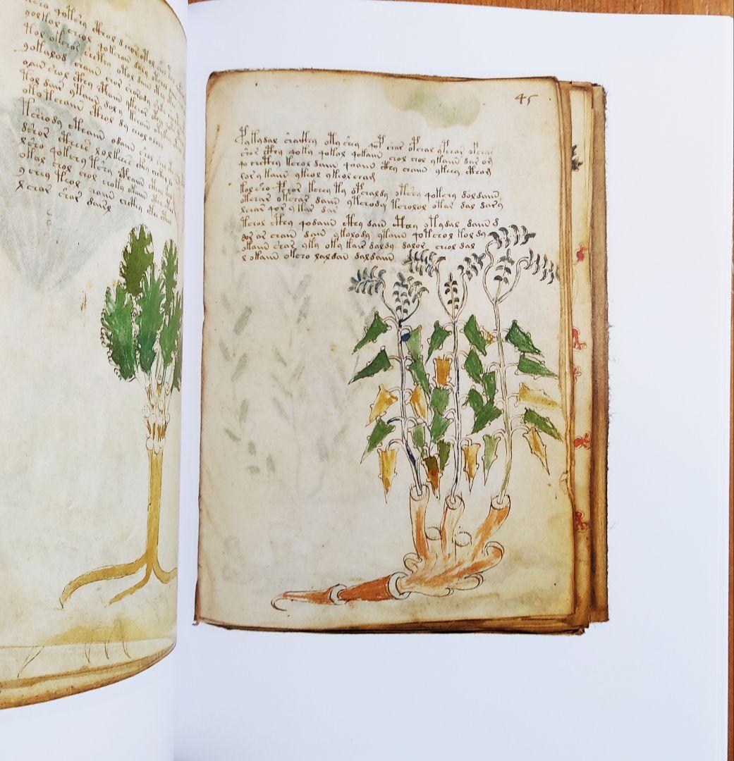 ヴォイニッチ手稿　the Voynich Manuscript