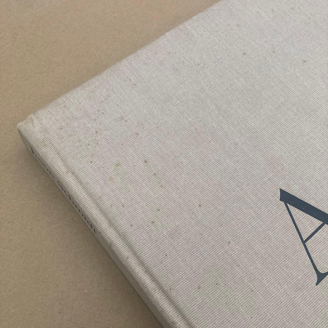 Jason Scmidt Artists ジェイソン・シュミット写真集　洋書