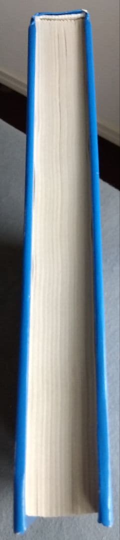 原書Rehabilitation of Spine LiebensonVHS4巻