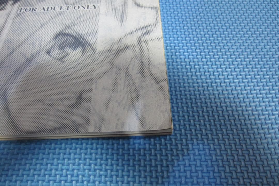 月姫 読本(青本) 改訂版＆月姫読本　plus period　2冊セット