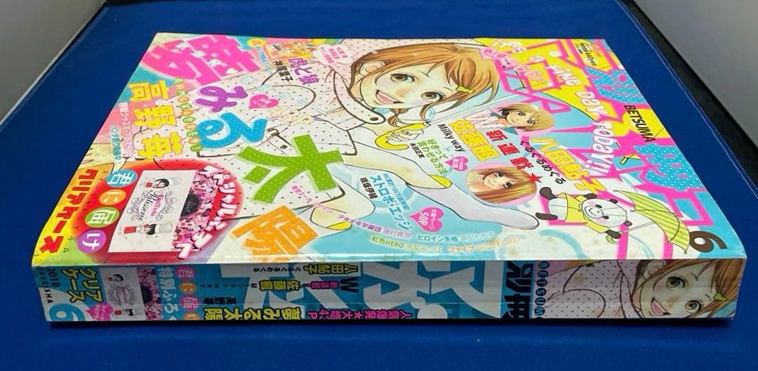 別冊マーガレット2010年6月号