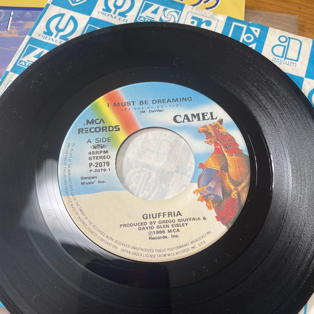 ヘビメタ/ハードロック/シングルレコード/9枚まとめ売り