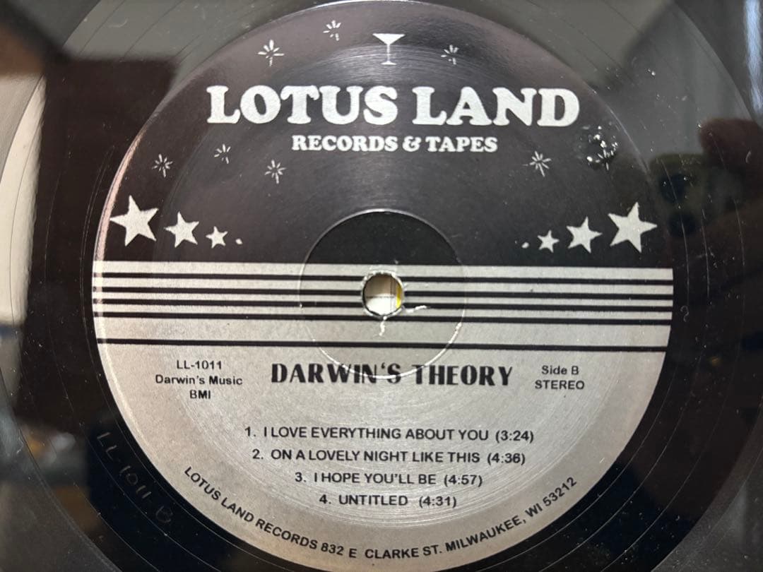 洋楽 DARWINS THEORY LP