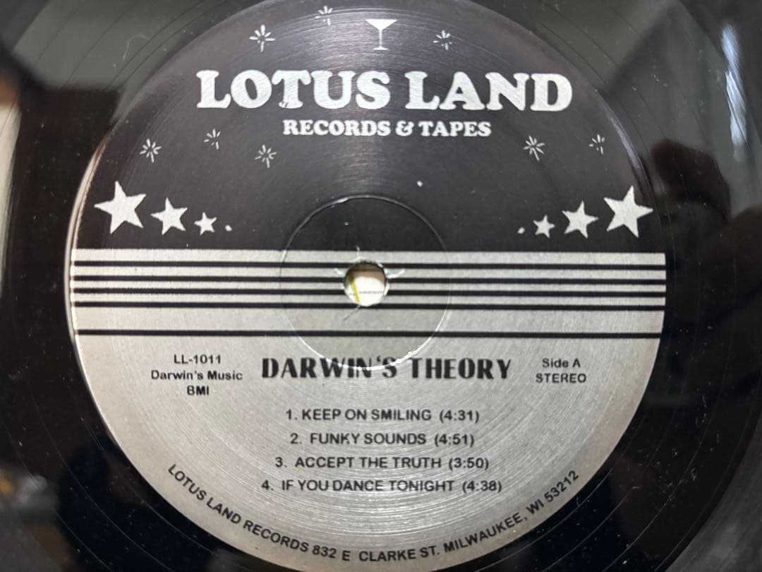 洋楽 DARWINS THEORY LP