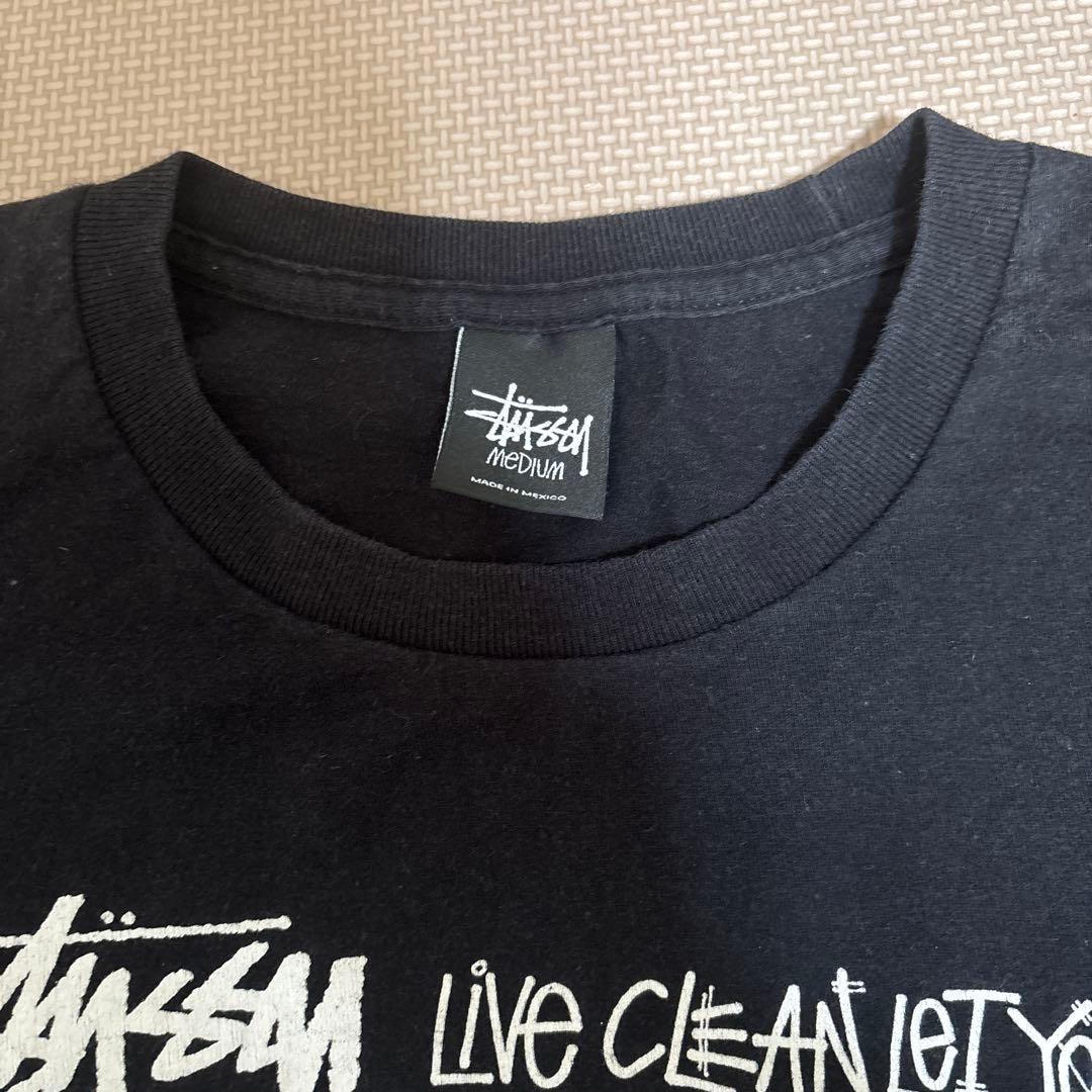 peter tosh Tシャツ　　OLD stussy Mサイズ