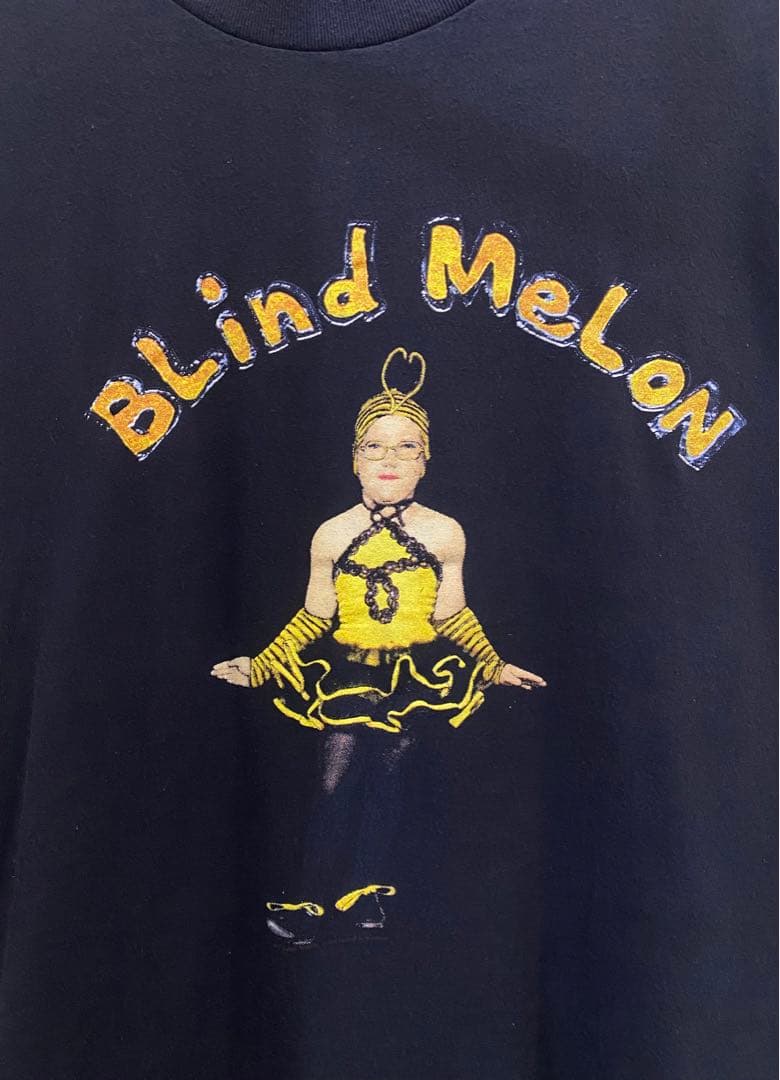 菅田将暉着用 Blind Melon ブラインドメロン バンドTシャツ バンT