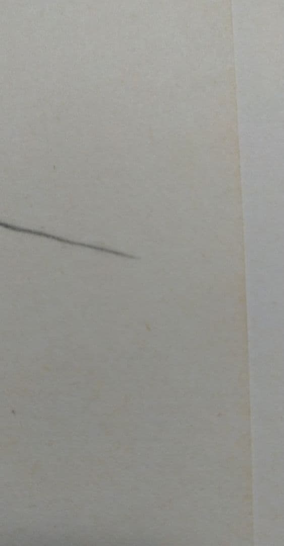 洋書 ホルスト・ヤンセン作品集 図録 画集 Horst Janssen