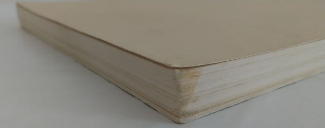 洋書 ホルスト・ヤンセン作品集 図録 画集 Horst Janssen
