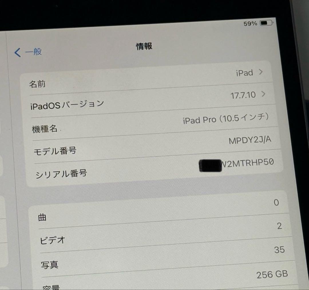 iPad pro 10.5インチ　256GB Wi-Fi+Cellularモデル
