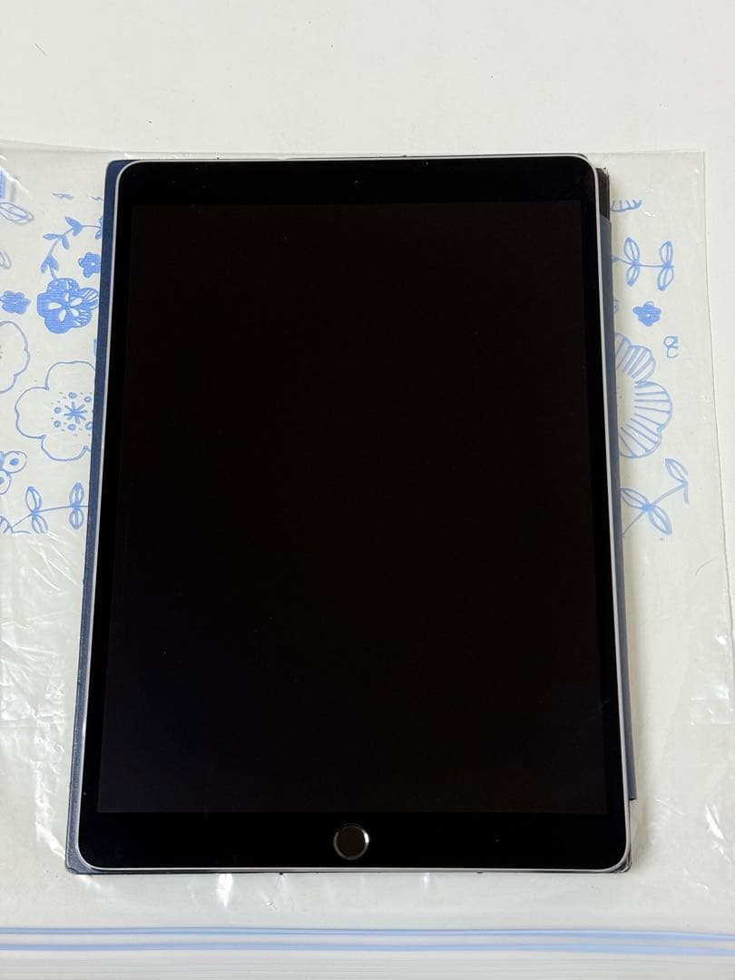iPad pro 10.5インチ　256GB Wi-Fi+Cellularモデル