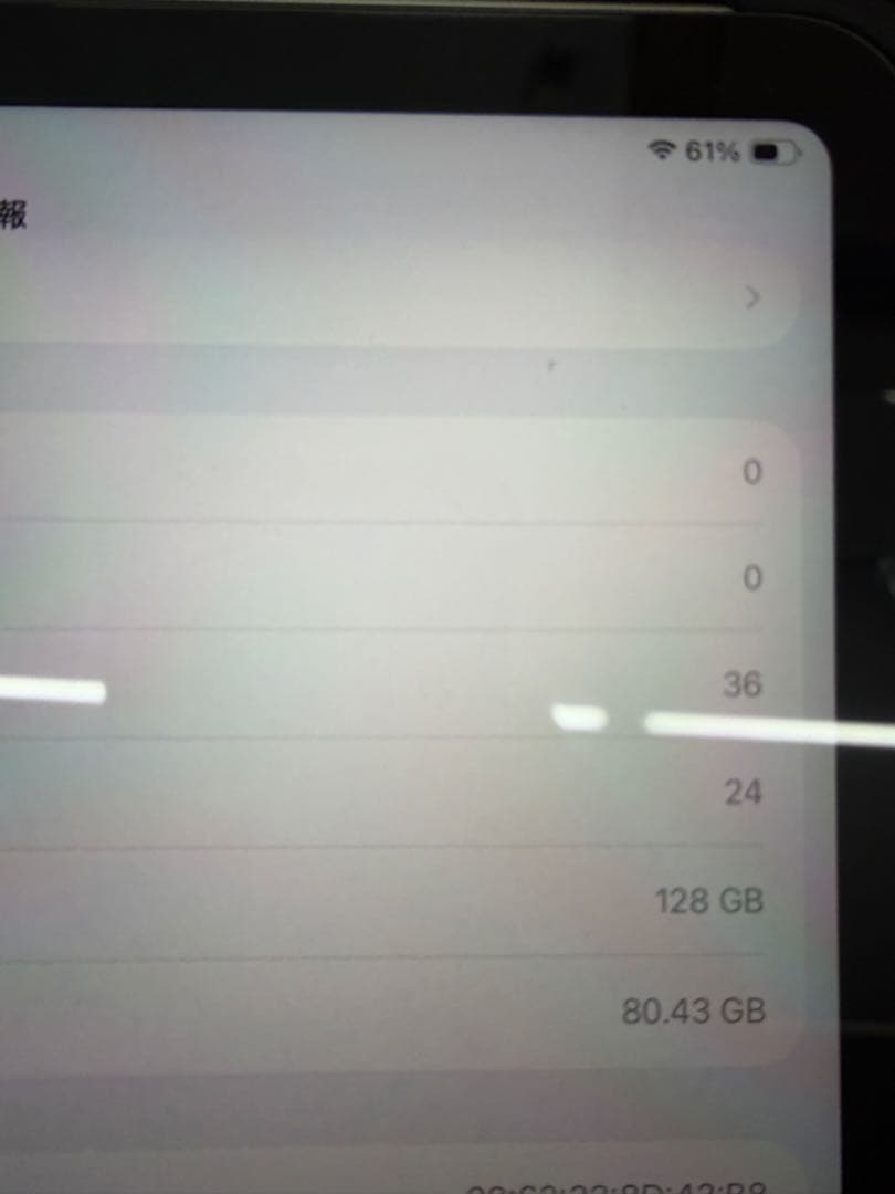 Apple iPad A16シルバー 本体 保護ケース付き