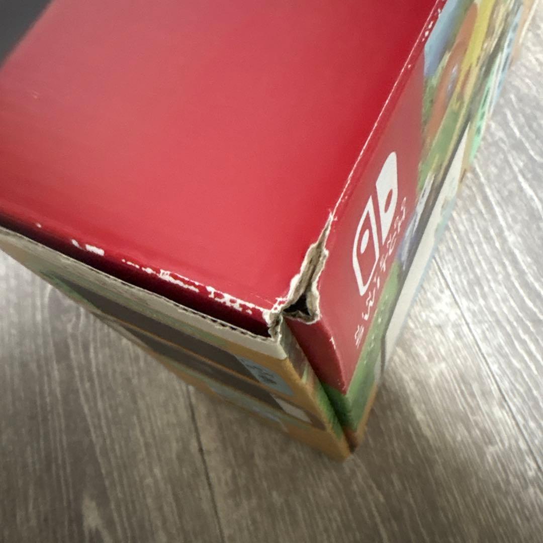 専用！Nintendo Switch あつまれどうぶつの森セット　あつ森