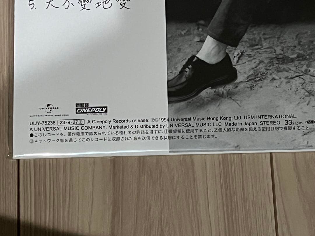 新品未開封★フェイ・ウォン★王菲 背影 ★ 討好自己 ★レコード LP