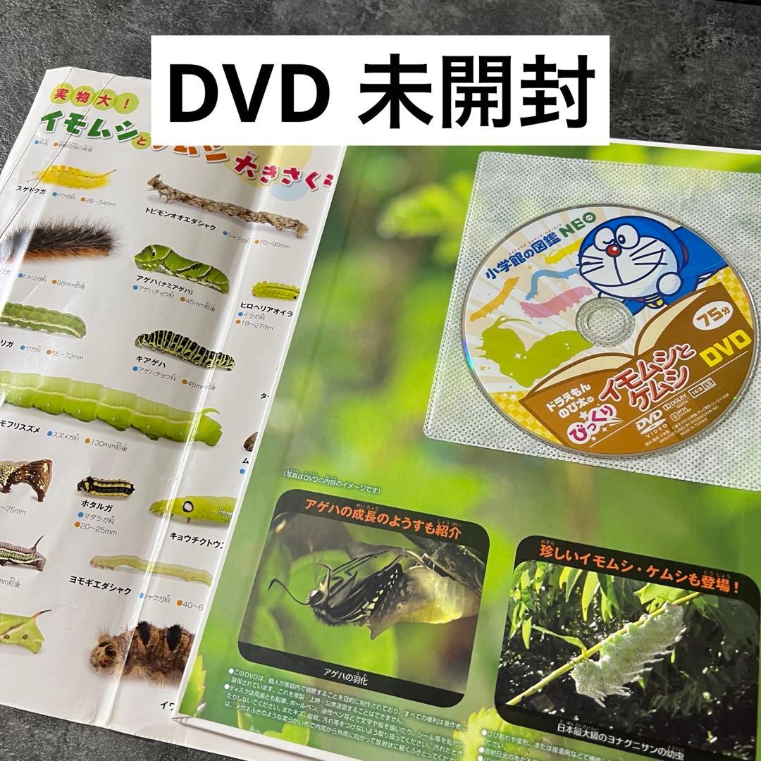 【本日まで❗️】小学館 図鑑 NEO 14冊セット DVD未開封・下敷やマップ付有