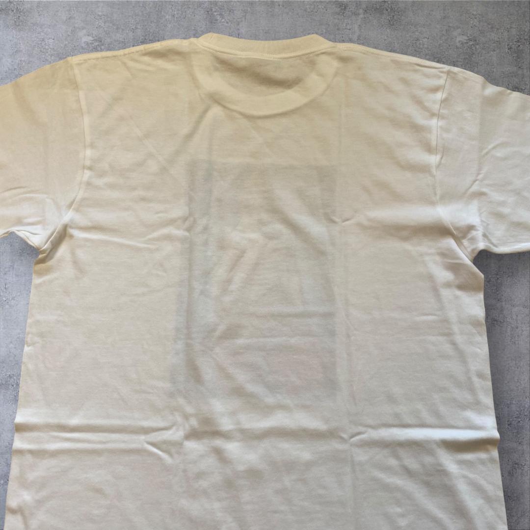 専用出品 ハイロウズ ブルーハーツ 夏 エモ フェス　Tシャツ