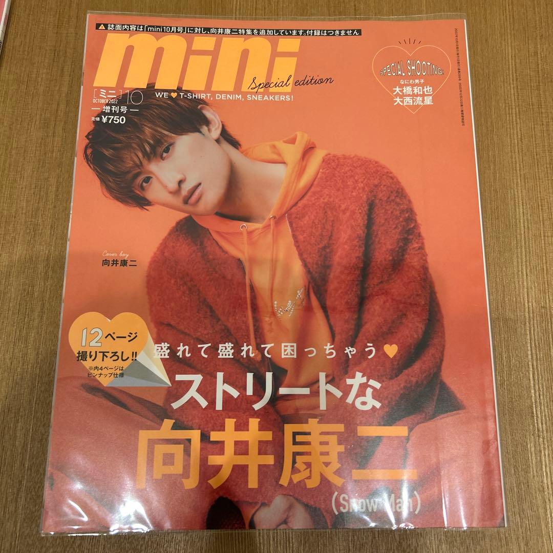 mini Man 表紙