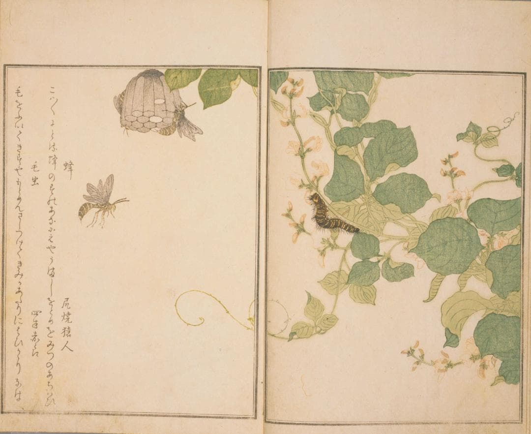 歌麿 画本虫撰 9/7 べらぼう登場 狂歌絵本 復刻 豆本