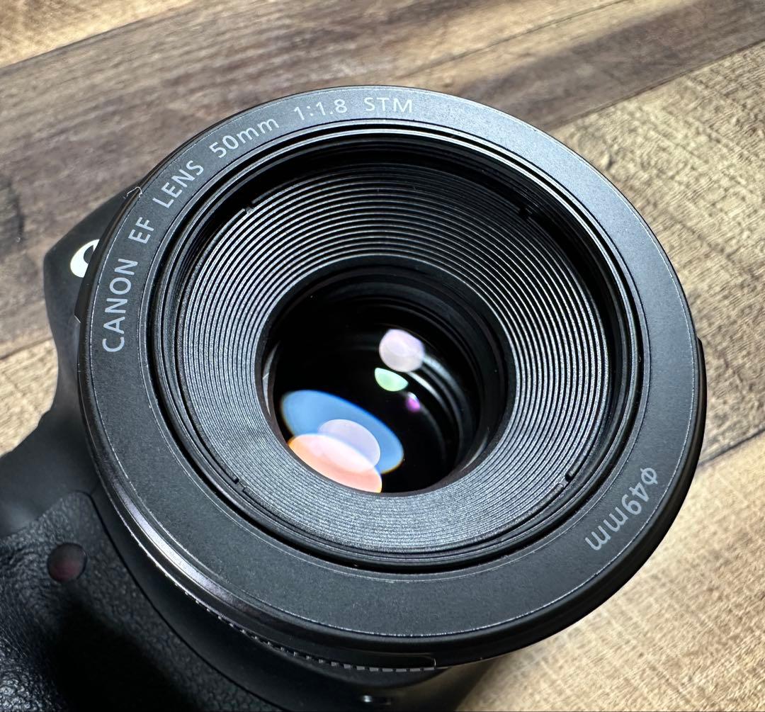 Canon EOS 6D EF50mm f1.8STM【セット販売】