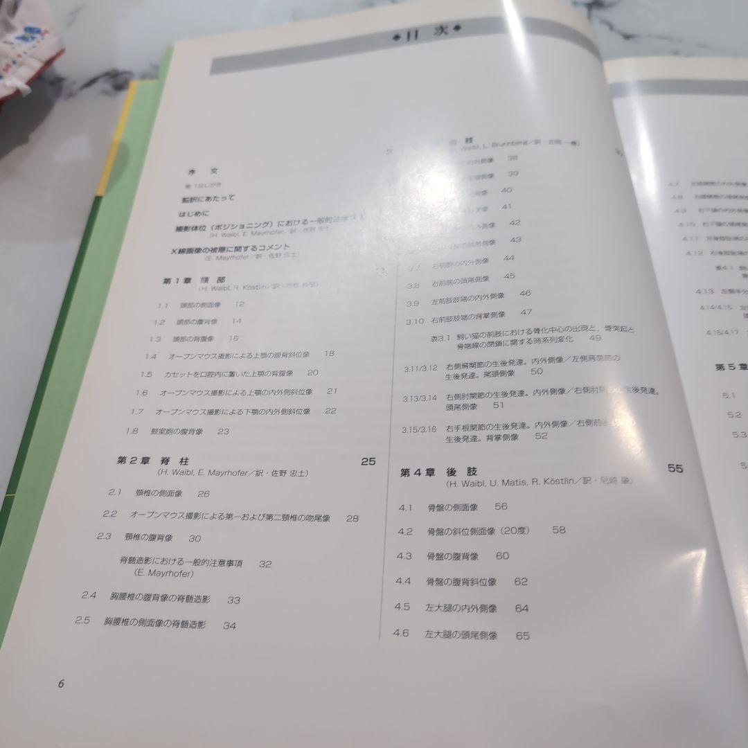 猫のX線解剖