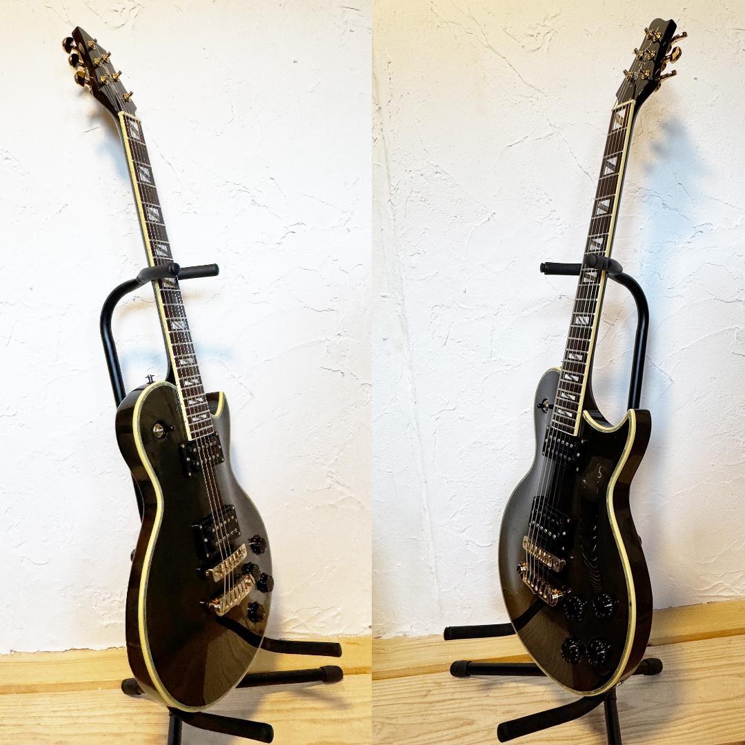 Aria Pro II PE-e 美品 新品弦 張替済