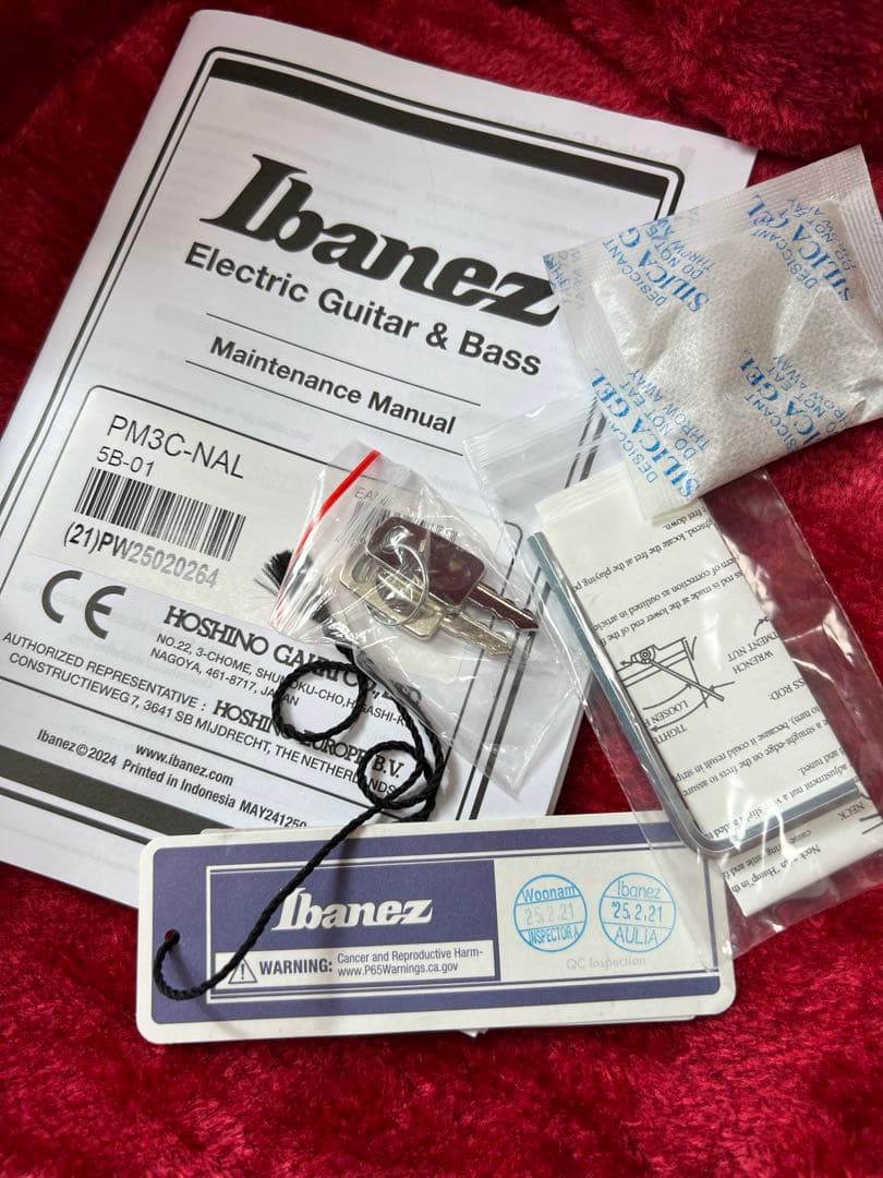 y*i様 最終値下げ！Ibanez フルアコ パット・メセニーモデル ハードケー