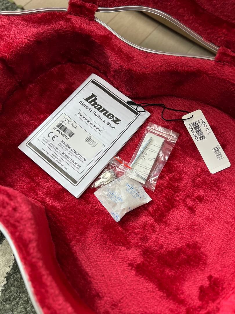 y*i様 最終値下げ！Ibanez フルアコ パット・メセニーモデル ハードケー