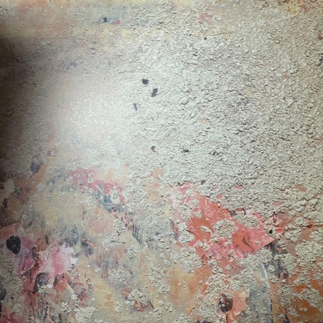 アンゼルムキーファー　作品集