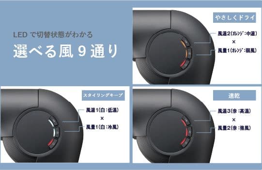 【海外対応】TESCOM プロテクトイオン　ヘアドライヤー　TD860A