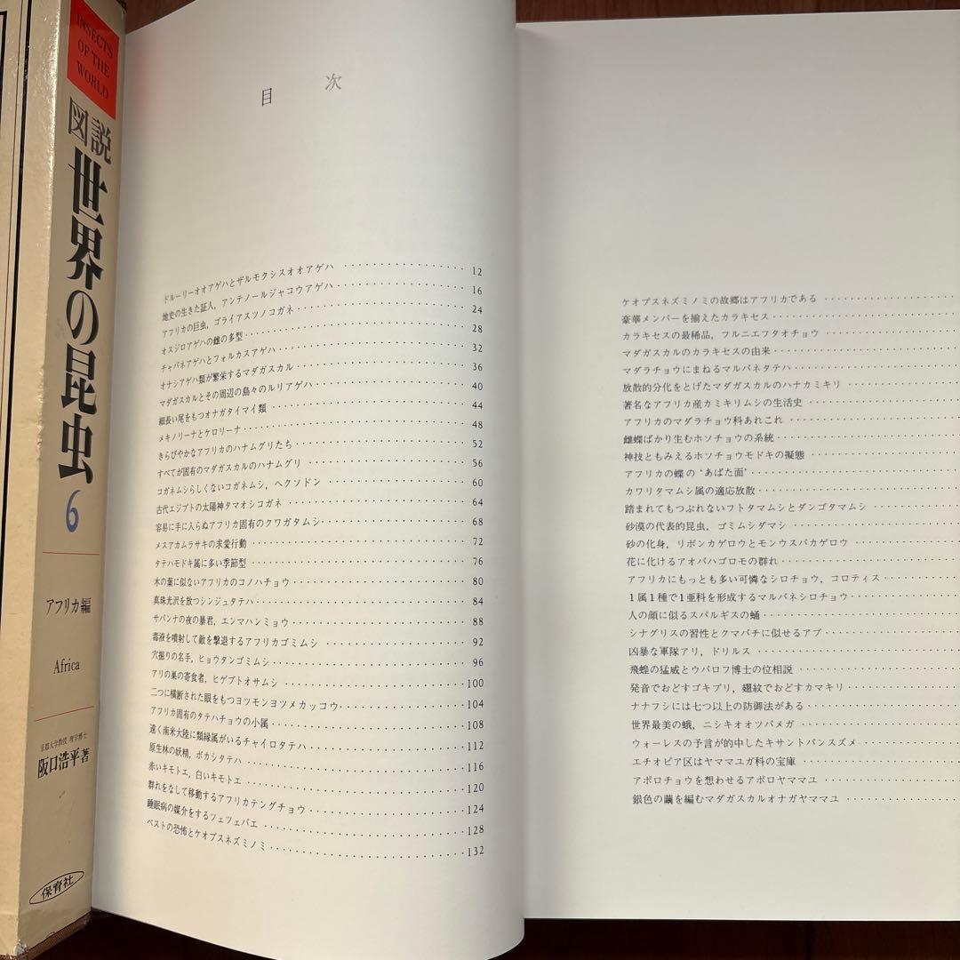 図説　世界の昆虫　全６巻　阪口浩平