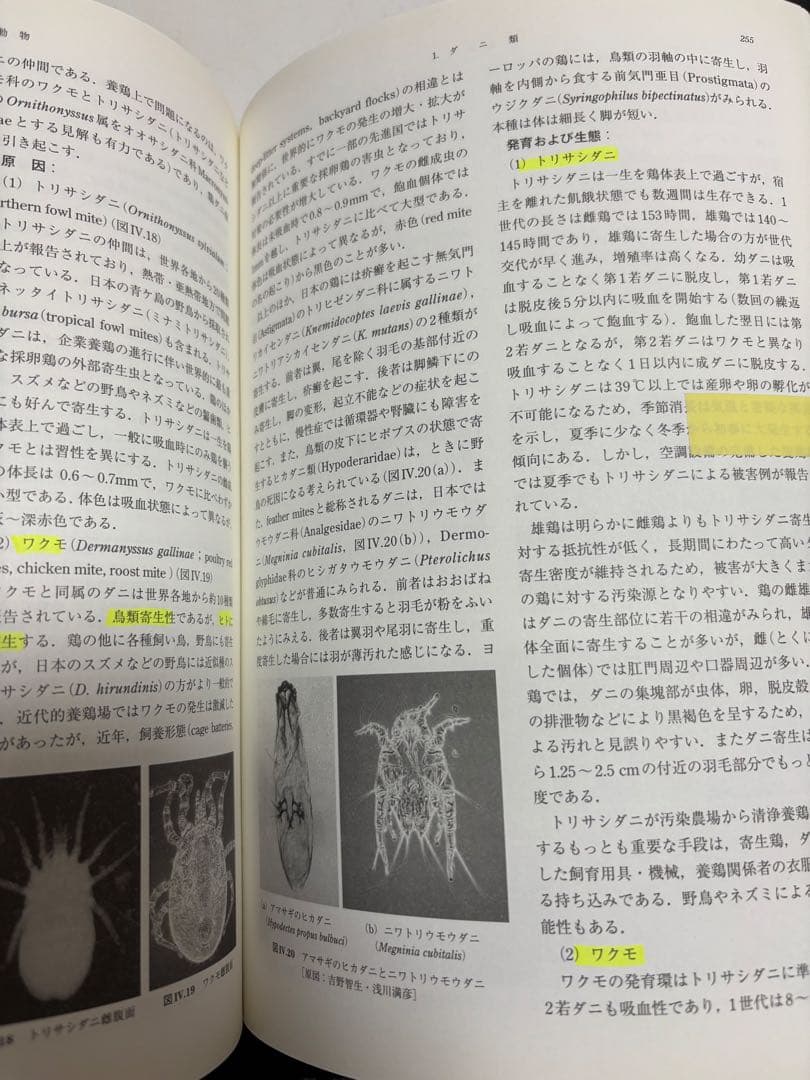 家畜寄生虫病学