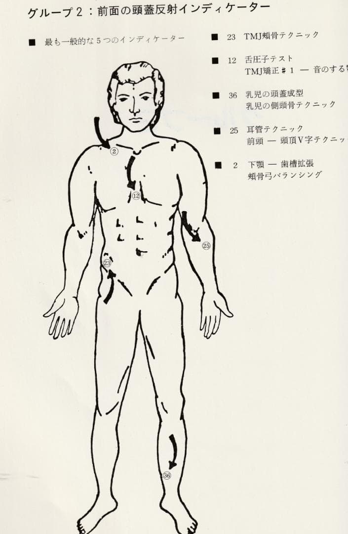 SOT　頭蓋骨治療　クラニアル・スタディガイド 　Dr.DeJarnette