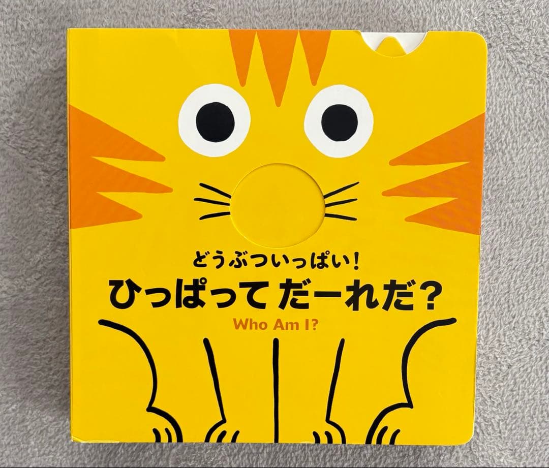 だるまさんシリーズと絵本セット 赤ちゃん絵本