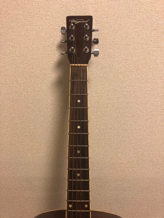 vanaguard アコースティックギター