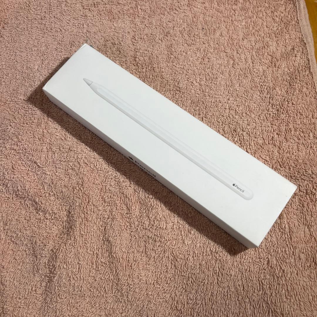 iPadPro11 第一世代 512GB wifiモデル 付属品あり　今日最終