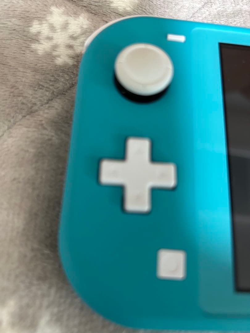Nintendo Switch Lite ターコイズ 本体 ケース カバー付き