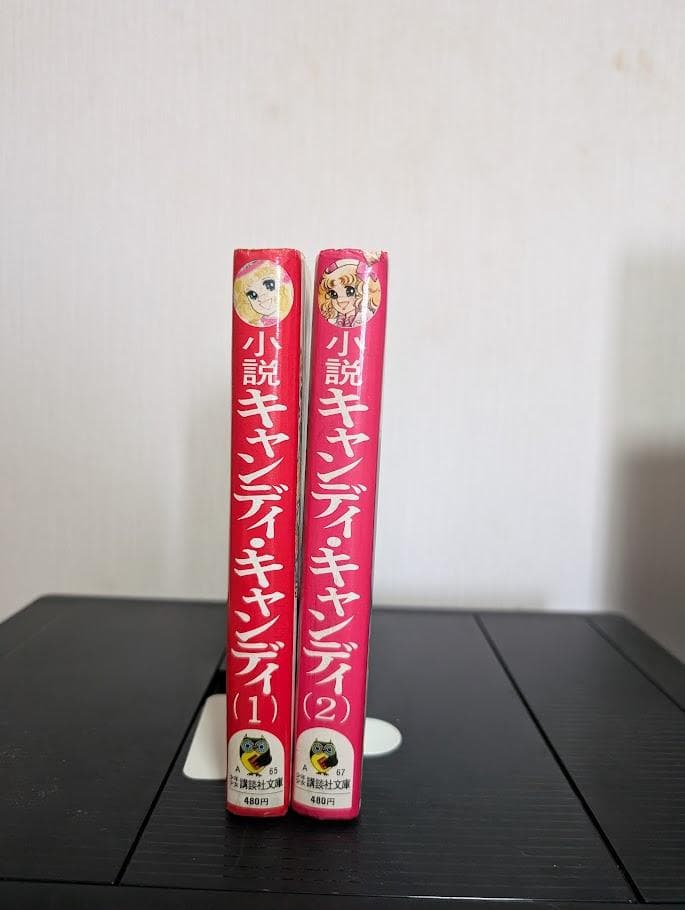 キャンディ・キャンディ 小説　1巻2巻　水木杏子　いがらしゆみこ