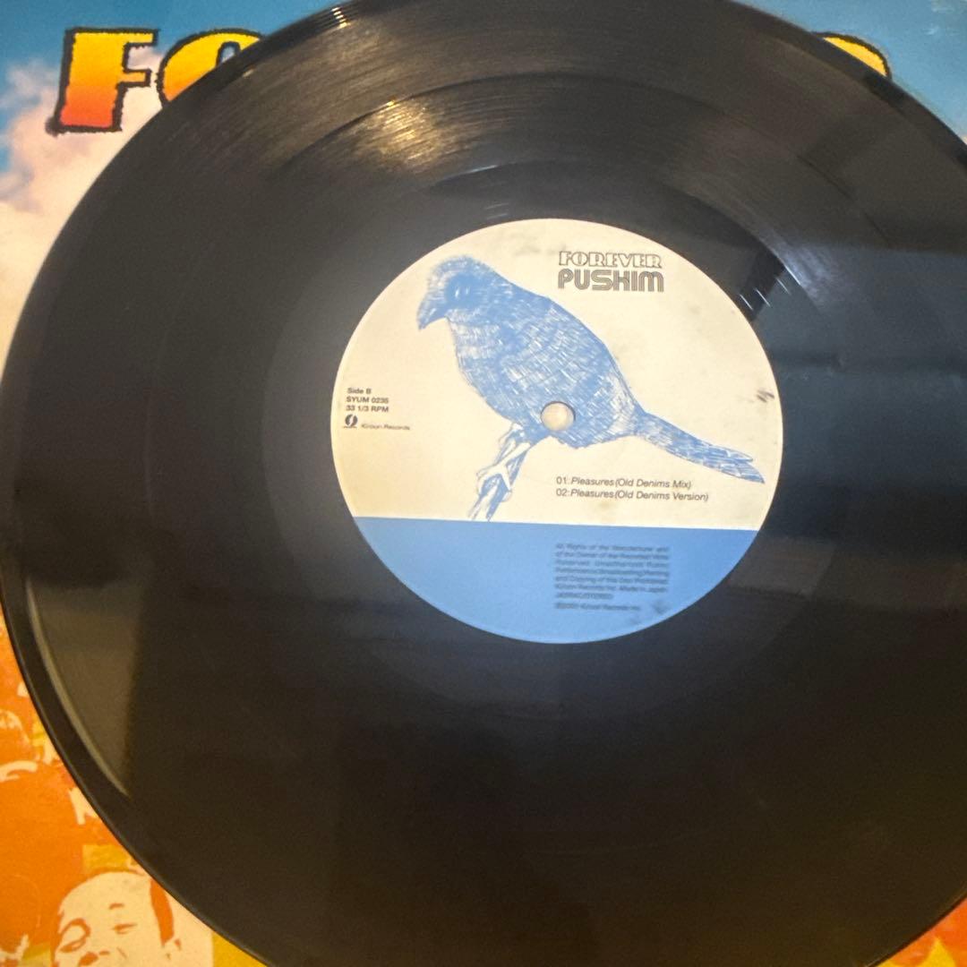 pushim レコード forever 10inch ジャパレゲ レゲエ