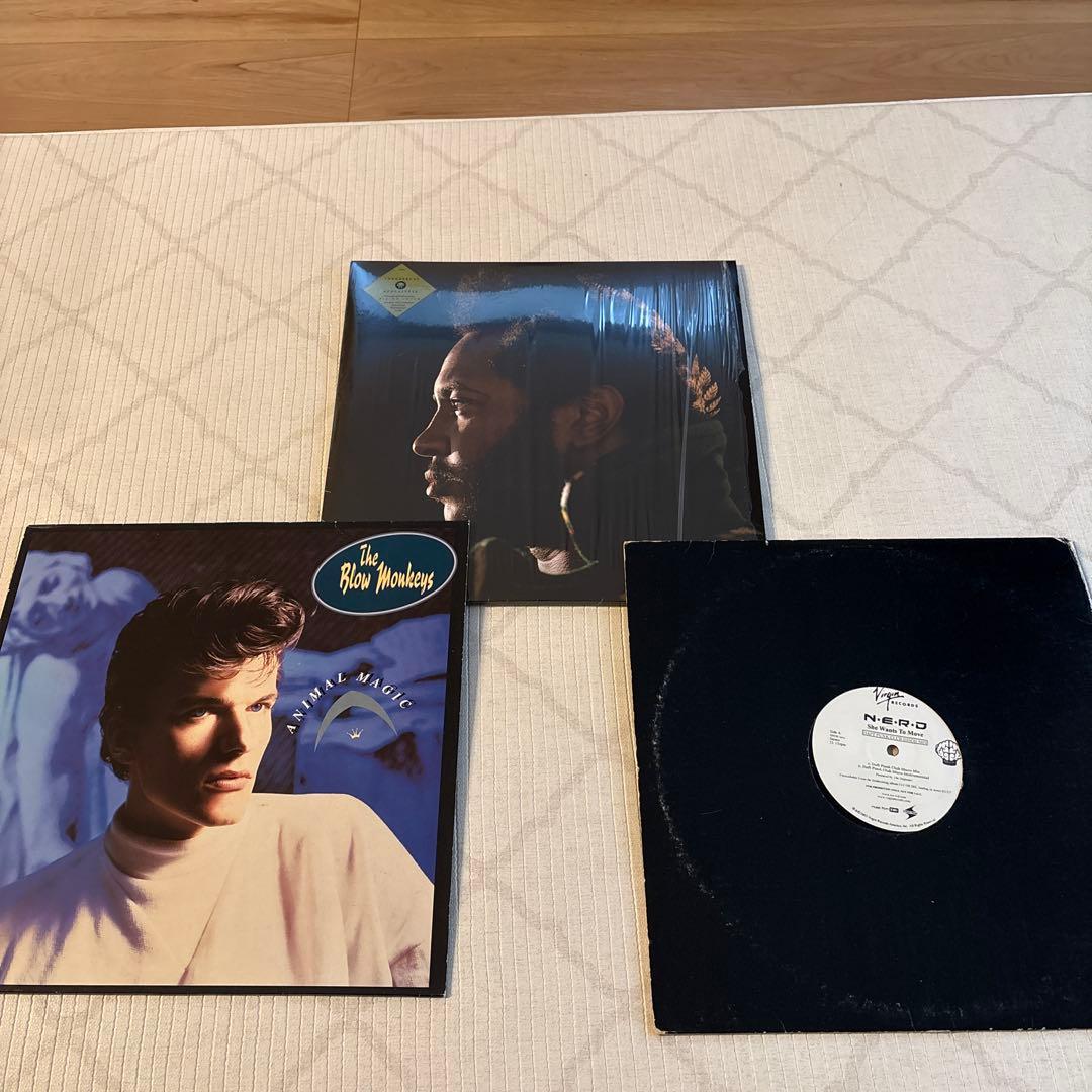 レコードセット 事後 Desire house disco